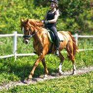 Vicki Vinther Andersen