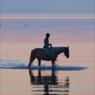 Janni J - *Klitgaard Design*