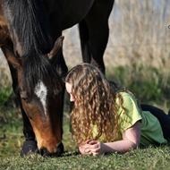 » Bøgegårdens Liva «
