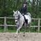 *Team SDS* - Julie & Silver - R