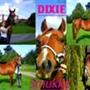 trine & heida = DIXIE <3 !