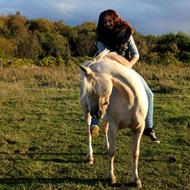 Maja Brøndberg Sørensen B-RYTTER