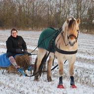 Anita, Mello og Bamsen