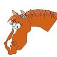 Majbrit N *Egely Horsecare *