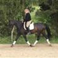 JosephinePihl :-)  '