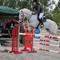 Cecilie N