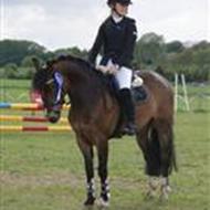 *Sofie Loft Strandgaard* l