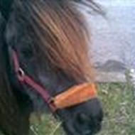 * SuperLone & BlackieBoy <3 *