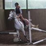 Rosa&'Sir-Prize<3  .