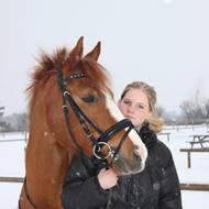 Amalie & Ødipus