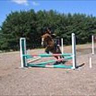 emma<3arambassador<3esprit< 3