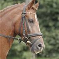 Camilla Christensen .