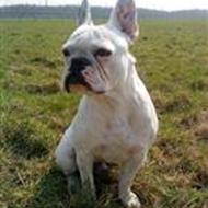 Camilla ( Team Winthersminde )