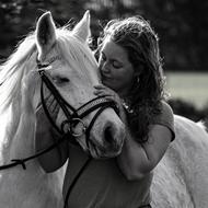Briarwood Horses