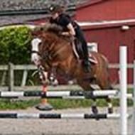 * Emily Tejlgaard. T