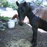 prutten gusta er lækker love you<3 .