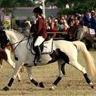 Marianne Damsgaard C