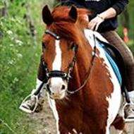  Anna Sofie Rex Elmgreen  