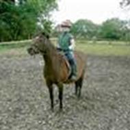 ¤Elsker sin Livve¤  