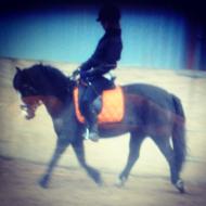 Cecilie