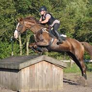 Ditte Katrine Oksen / Jordbrugsteknolog - Hest .