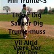 `téam hinbærbrus´ t