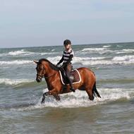 Pernille Weinreich H