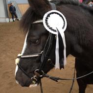 #Team rød grød med fløde# !