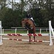 ~ Mirah & Pari Tut.<3 ~  