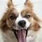 Maria Dilling ( Petphoto )