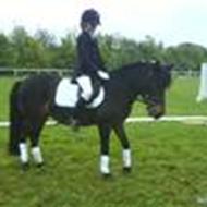 i love <3 josefine (so much) <334-ever:-) j