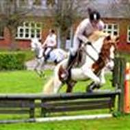 Henriette Elkjær Mogensen .