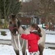 StjerneTeamet! P+R^ ^Skabt for hindanden .