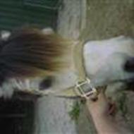 Love U 4-ever Fifla <3 .