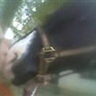 Christina Lindberg !