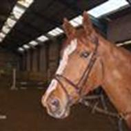 ¤TEAM JOHNSEN¤  `GDR`  J