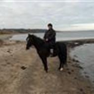 bettina*team langgyden* .