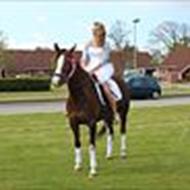 Sara Korsholm På Pony Og Hest.