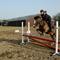 ''The jumping team Ems og hestene