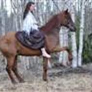 Elisa T. ¤ Team Different <3 ¤