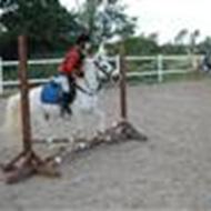 <3obelix fuck du er mit et og alt<33 o