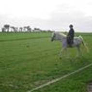 Emma & Tøzen & Sika; D