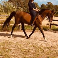 Pobhart&Beauty