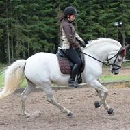 ~ ANE 10/11 ~ Team KiJu ~ Regionsmester 2011&2013