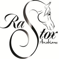 Rastox Arabians