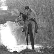 K A T R I N E  H Ø S T