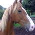 hanne m
