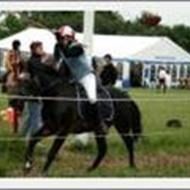 °•Camilla~Athena•° 