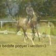 ¤Hidalgo&Sara¤  {H&S}