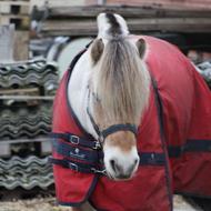 J&R We aim at the top<3 .